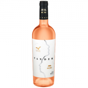 Merlot, Tandem Secco rose wine,  13% alc., 0.75L, Moldavia