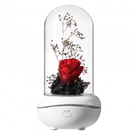 Red cryogenic rose lamp and aromatherapy
