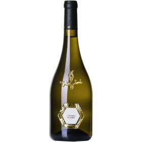 Sauvignon Blanc, Negrini Hex White Dry Wine, 0.75L, 13% alc., Romania