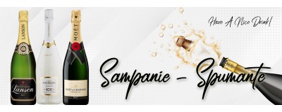 Champagne/ Sparkling Wine